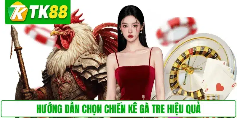 Hướng dẫn chọn chiến kê gà tre hiệu quả