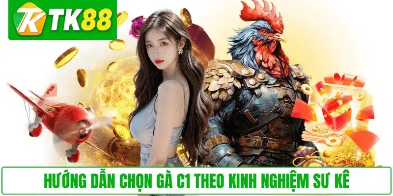 Hướng dẫn chọn gà C1 theo kinh nghiệm sư kê