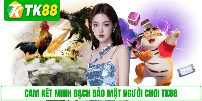 Cam kết minh bạch bảo mật người chơi TK88