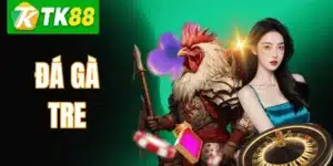 Đá Gà Tre TK88 – Cách Chọn Chiến Kê & Kinh Nghiệm Sư Kê