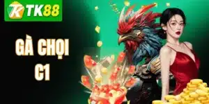 Gà Chọi C1 TK88 – Đặc Điểm, Cách Chọn & Kinh Nghiệm Sư Kê