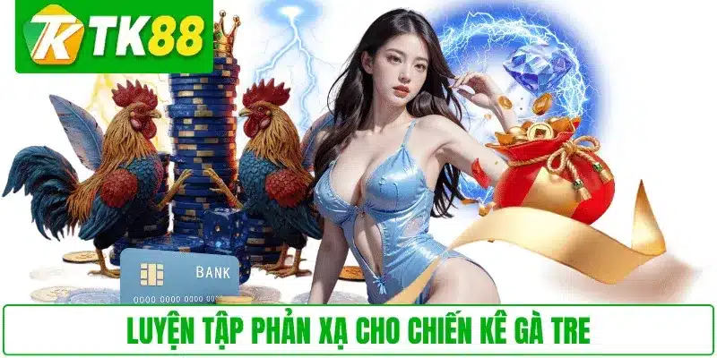 Luyện tập phản xạ cho chiến kê gà tre