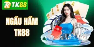 Ngầu Hầm TK88 – Luật Chơi, Cách Đặt Cược Và Kinh Nghiệm Cao Thủ