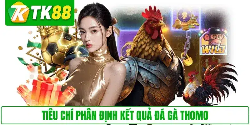 Tiêu chí phân định kết quả đá gà Thomo