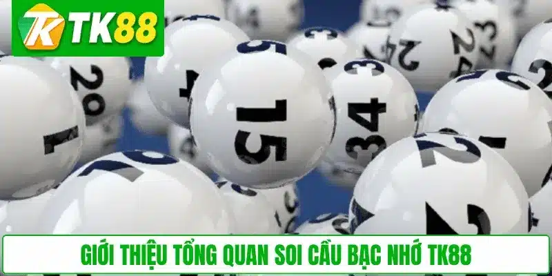 Giới thiệu tổng quan soi cầu Bạc Nhớ TK88
