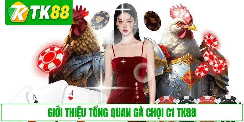 Giới thiệu tổng quan gà chọi C1 TK88