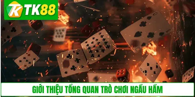 Giới thiệu tổng quan trò chơi Ngầu Hầm